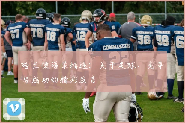 哈兰德语录精选：关于足球、竞争与成功的精彩发言